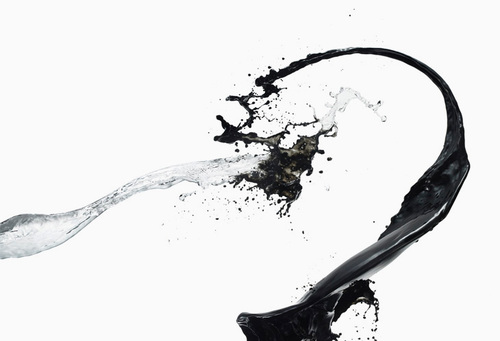 Shinichi-Maruyama-042.jpgのサムネール画像