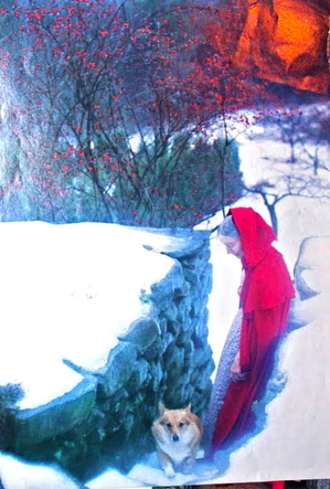 tashavic1.jpgのサムネール画像