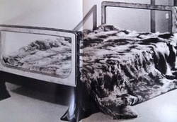 P1131469.jpegのサムネール画像