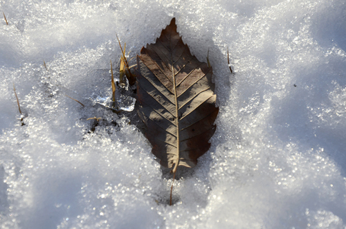 blog_pic247_1.jpegのサムネール画像