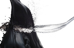 pickup002_20100903081110.jpgのサムネール画像