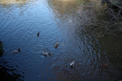 IMG_1260.jpegのサムネール画像