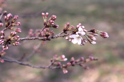 IMG_1896.jpegのサムネール画像