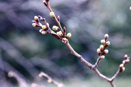 IMG_4378.jpegのサムネール画像