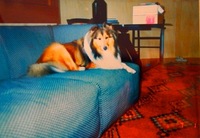 P3271967.jpegのサムネール画像