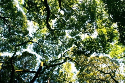 IMG_2699.jpegのサムネール画像