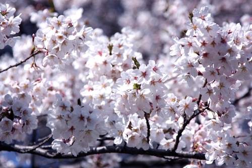 IMG_4413.jpegのサムネール画像