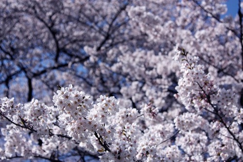 IMG_4421.jpegのサムネール画像