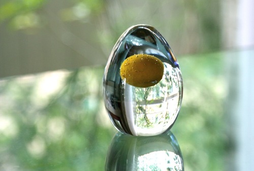 IMG_4807.jpegのサムネール画像