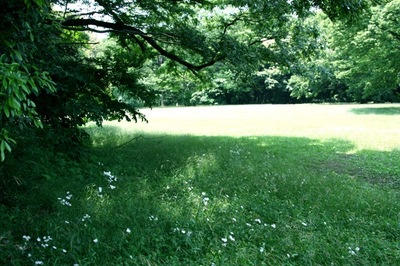 IMG_4859.jpegのサムネール画像