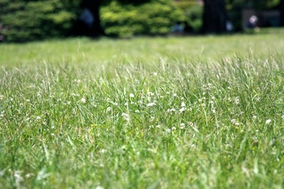 IMG_4883.jpegのサムネール画像