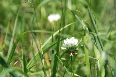 IMG_4885.jpegのサムネール画像