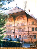 P5262289.jpegのサムネール画像