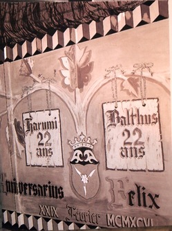 P5262296.jpegのサムネール画像