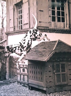 P5262302.jpegのサムネール画像