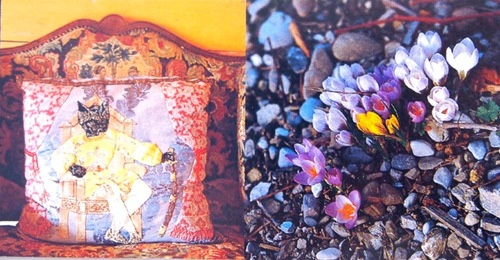 P7152569.jpegのサムネール画像