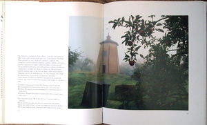 P8312737.JPGのサムネール画像