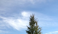 IMG_2849.jpegのサムネール画像