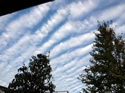 IMG_2961.jpegのサムネール画像