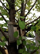 IMG_2967.jpegのサムネール画像