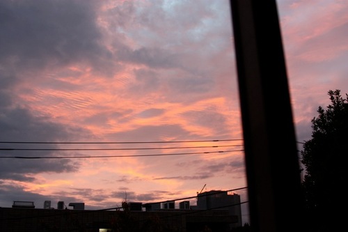 IMG_5257.jpegのサムネール画像