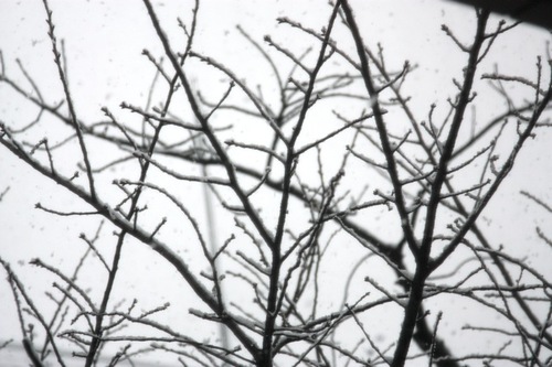 IMG_5430.jpegのサムネール画像