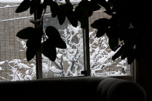 IMG_5525.jpegのサムネール画像