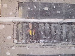 P1013029.jpegのサムネール画像