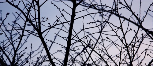 IMG_5813.jpegのサムネール画像