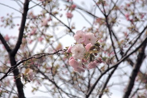 IMG_6142.jpegのサムネール画像