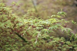 IMG_6202.jpegのサムネール画像