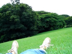 DSC00317_2.jpegのサムネール画像