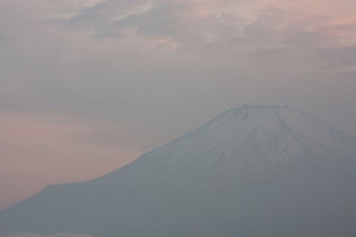 IMG_6659_2.jpegのサムネール画像