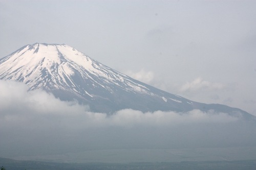 IMG_6683.jpegのサムネール画像