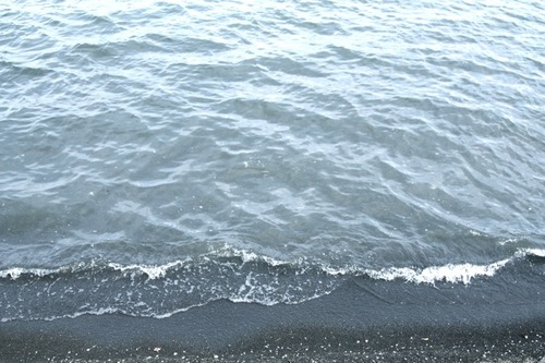 IMG_6483.jpegのサムネール画像