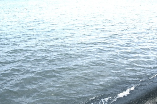 IMG_6489.jpegのサムネール画像