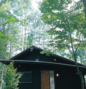 P8032645.JPGのサムネール画像