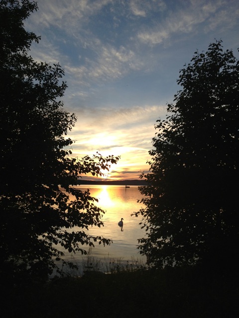 IMG_1254.jpegのサムネール画像