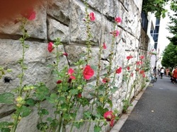 IMG_3431.jpegのサムネール画像