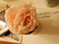 P1013943.jpegのサムネール画像