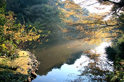 IMG_0766.jpegのサムネール画像