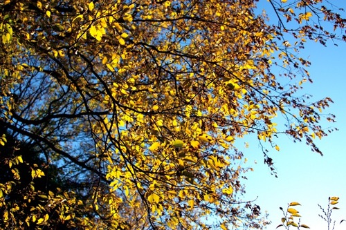 IMG_3937.jpegのサムネール画像