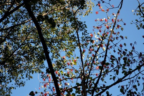 IMG_3977.jpegのサムネール画像