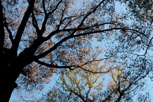 IMG_3979.jpegのサムネール画像