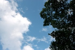 IMG_7166.jpegのサムネール画像