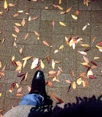 IMG_4229.jpegのサムネール画像