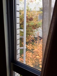 IMG_4252.jpegのサムネール画像