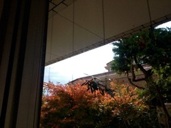 IMG_4298.jpegのサムネール画像