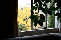 IMG_5320.jpegのサムネール画像