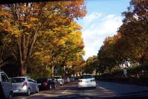 IMG_7237.JPGのサムネール画像